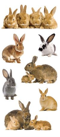 Bunnies Stickers by Paper House