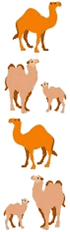Camels Stickers by Mrs. Grossman's