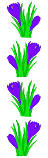 Crocus Stickers by Mrs. Grossman's