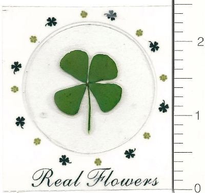 Duckweed (Pressed Flower) Stickers by Pressed Flower Gallery