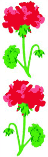 Geranium Stickers by Mrs. Grossman's