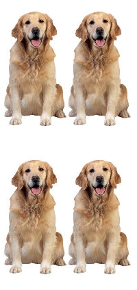 Golden Retriever Stickers by Paper House