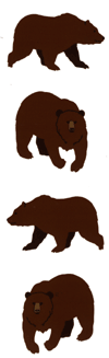 Grizzly Bears Stickers by Mrs. Grossman's