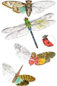 Insects Stickers by Mrs. Grossman's