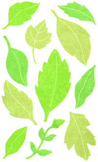 VL Leaves Stickers by Mrs. Grossman's