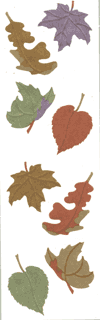 VL Leaves II Stickers by Mrs. Grossman's