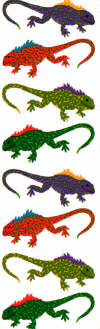 Lizards Stickers by Mrs. Grossman's