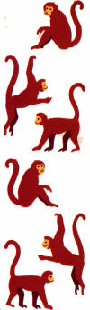 Monkeys Stickers by Mrs. Grossman's