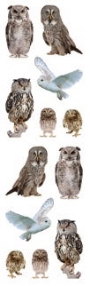 Owls II Stickers by Mrs. Grossman's