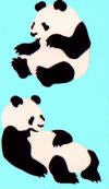 Panda Stickers by Mrs. Grossman's