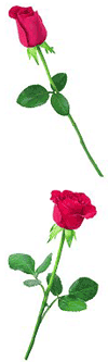 Rosebud Stickers by Mrs. Grossman's