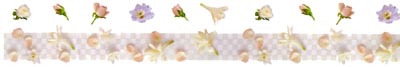 Rose Petals Stickers by Mrs. Grossman's