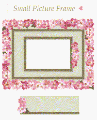 Wild Rose Small Frame Stickers by Mrs. Grossman's