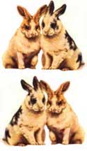 Garden Bunnies Stickers by The Gifted Line