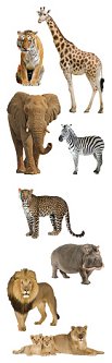 Wild Animals Stickers by Mrs. Grossman's