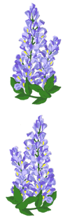 Wisteria Stickers by Mrs. Grossman's