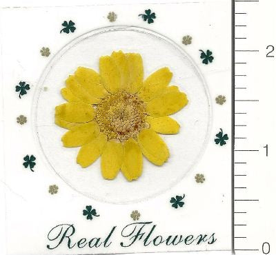 Yellow Northpole (Pressed Flower) Stickers by Pressed Flower Gallery