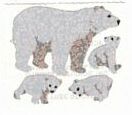 Polar Bears Stickers by Hambly Studios