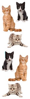 Adorable Kittens Stickers by Mrs. Grossman's