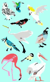 Birds II Stickers by Mrs. Grossman's