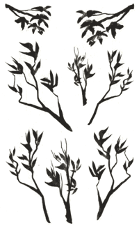 Branches Stickers by Mrs. Grossman's