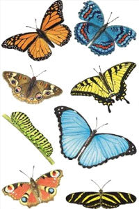 Butterflies I Stickers by Mrs. Grossman's