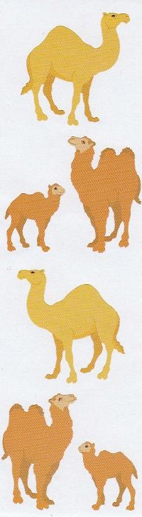 Camel Stickers by Mrs. Grossman's