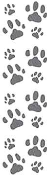 Cat Paws Stickers by Mrs. Grossman's