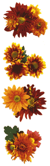 Chrysanthemums Stickers by Mrs. Grossman's
