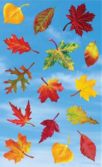 Colorful Fall Leaves Stickers by Mrs. Grossman's