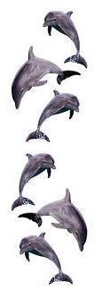 Dolphin Trio Stickers by Mrs. Grossman's