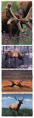 Elk Stickers by Mrs. Grossman's