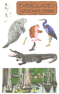 Everglades Stickers by Mrs. Grossman's