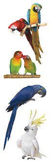 Exotic Birds Stickers by Mrs. Grossman's