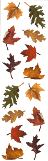 Fall Leaves Stickers by Mrs. Grossman's