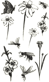 Flowers & Insects Stickers by Mrs. Grossman's