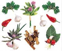Herbs and Spices Stickers by Mrs. Grossman's