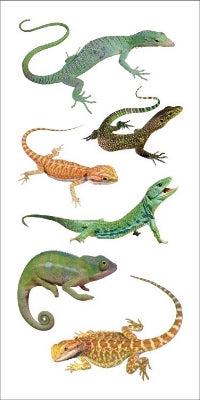 Lizards Stickers by Paper House