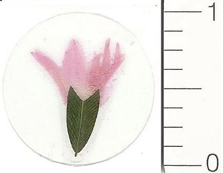 Mini Pink Flower (Pressed Flower) Stickers by Pressed Flower Gallery