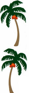 Palm Tree Stickers by Mrs. Grossman's