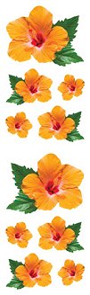 Hibiscus Stickers by Mrs. Grossman's