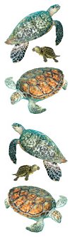 Turtles Stickers by Mrs. Grossman's