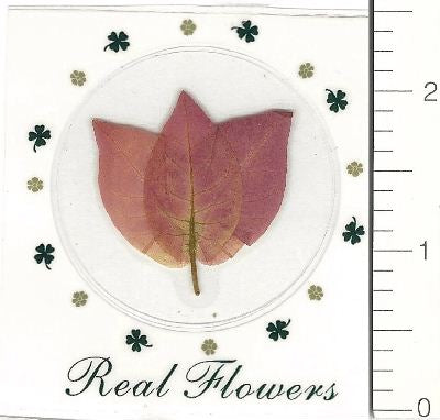 Pink Bouganville (Pressed Flower) Stickers by Pressed Flower Gallery