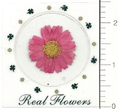 Pink Northpole (Pressed Flower) Stickers by Pressed Flower Gallery