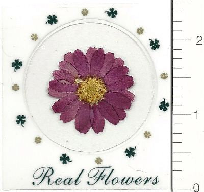 Purple Northpole (Pressed Flower) Stickers by Pressed Flower Gallery