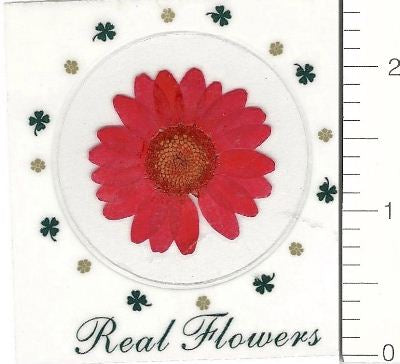 Red Northpole (Pressed Flower) Stickers by Pressed Flower Gallery