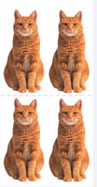 Red Tabby Cat Stickers by Paper House