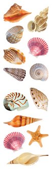 Sea Shells Stickers by Mrs. Grossman's