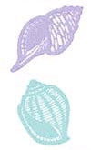 Seashells Stickers by Mrs. Grossman's
