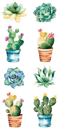 Succulents Stickers by Paper House